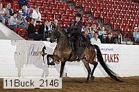 11buck_2146 proof