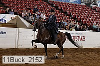 11buck_2152 proof