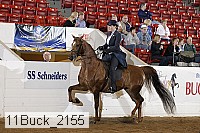 11buck_2155 proof