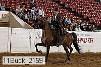 11buck_2159 proof