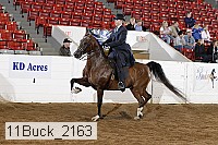 11buck_2163 proof