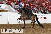 11buck_2165 proof