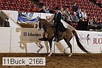 11buck_2166 proof
