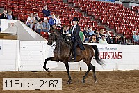 11buck_2167 proof