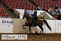 11buck_2170 proof