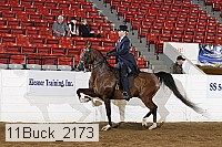 11buck_2173 proof