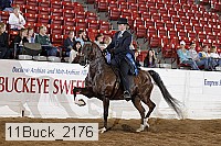 11buck_2176 proof