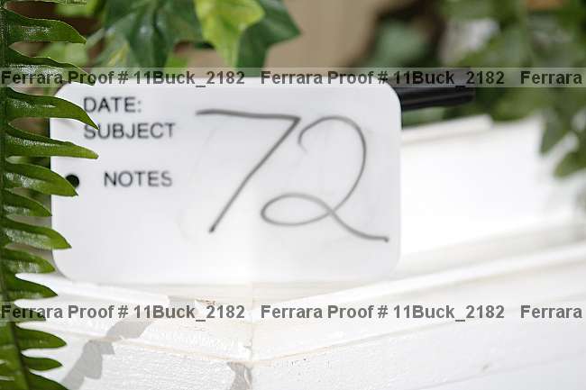 Proof 11buck_2182