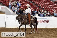 11buck_2184 proof