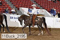 11buck_2195 proof