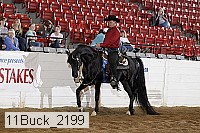 11buck_2199 proof