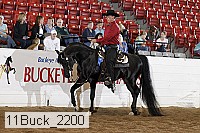 11buck_2200 proof
