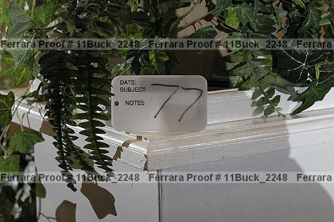 Proof 11buck_2248