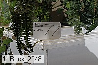 11buck_2248 proof