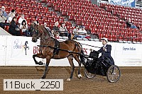 11buck_2250 proof