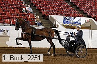 11buck_2251 proof
