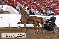 11buck_2254 proof