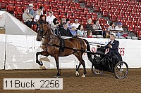 11buck_2256 proof