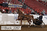 11buck_2257 proof