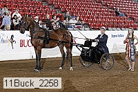 11buck_2258 proof