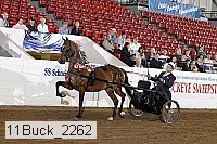 11buck_2262 proof