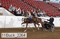 11buck_2264 proof