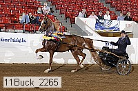 11buck_2265 proof