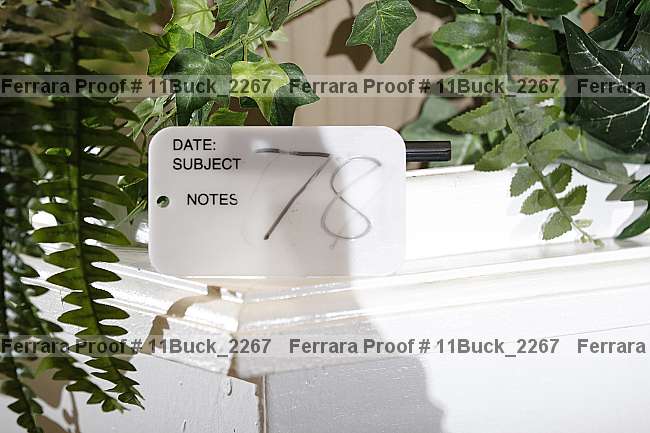 Proof 11buck_2267