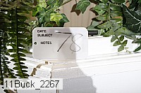 11buck_2267 proof