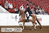 11buck_2269 proof