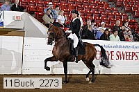 11buck_2273 proof