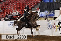 11buck_2290 proof