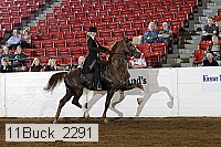 11buck_2291 proof