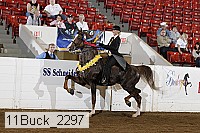11buck_2297 proof