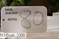11buck_2300 proof