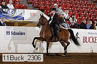 11buck_2306 proof