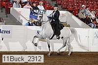 11buck_2312 proof