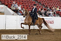 11buck_2314 proof