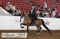 11buck_2317 proof