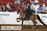 11buck_2319 proof