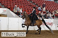 11buck_2323 proof
