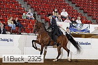 11buck_2325 proof
