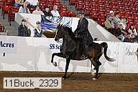 11buck_2329 proof
