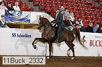 11buck_2332 proof