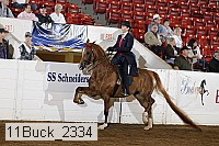 11buck_2334 proof