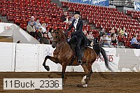 11buck_2336 proof