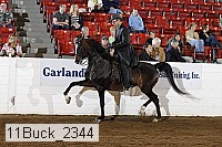 11buck_2344 proof