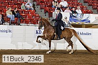 11buck_2346 proof