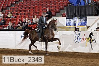 11buck_2348 proof