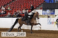 11buck_2349 proof
